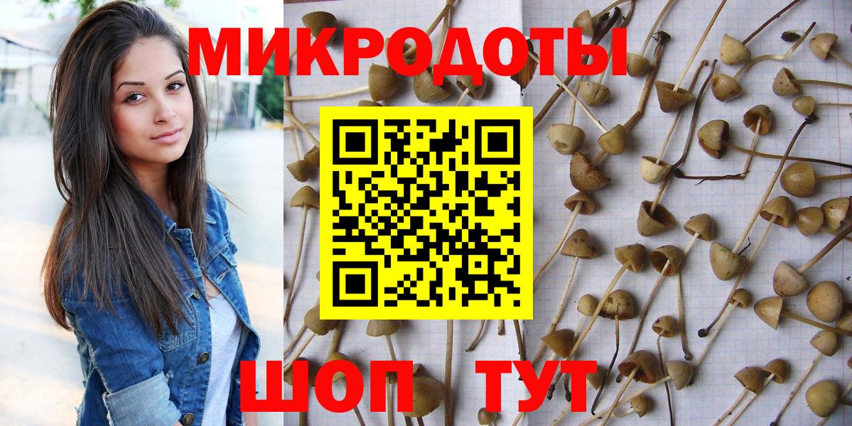Галлюциногенные грибы GOLDEN TEACHER Орехово-Зуево