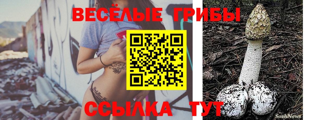 Орехово-Зуево  Псилоцибиновые грибы Psilocybine cubensis  Вход с VPN 